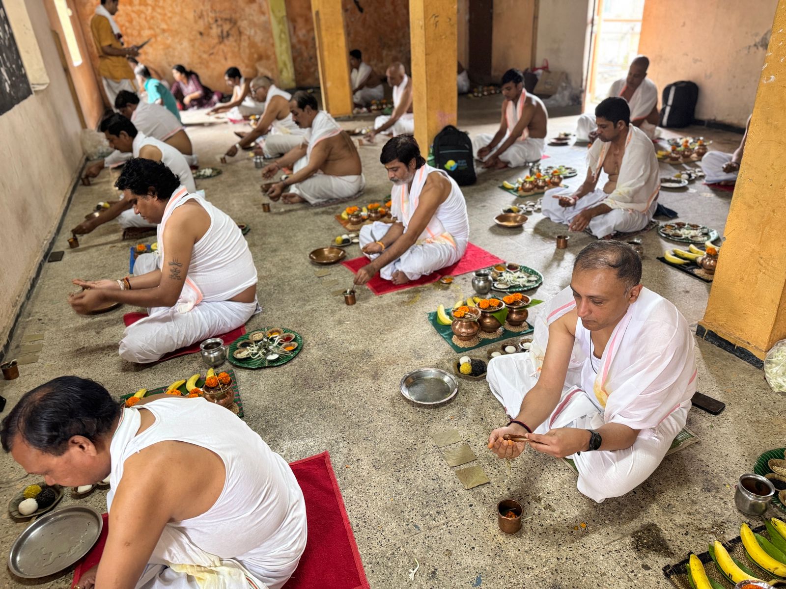 पितृ दोष / नारायण नागबलि