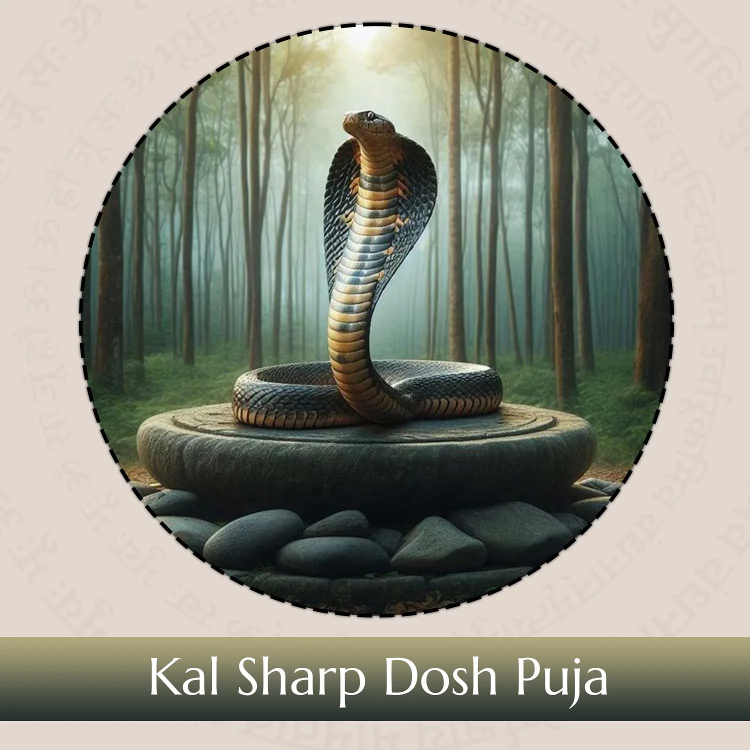 काल सर्प दोष पूजा